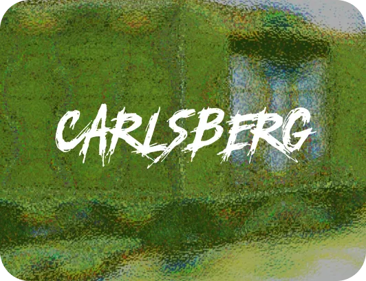 Carlsberg Kazakhstan — превью работы