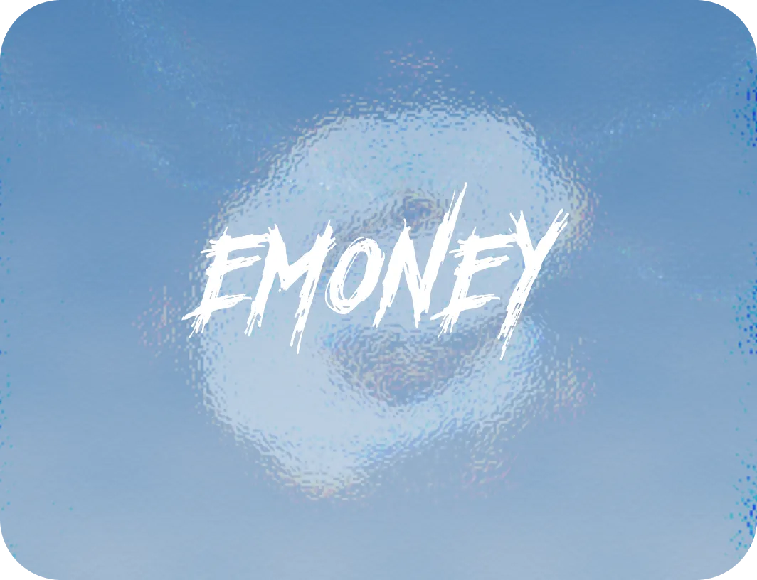 eMoney / MaxiPay — превью работы